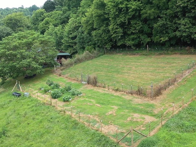 1 Julie Ln, Pleasant Shade, TN 37145 - view of yard