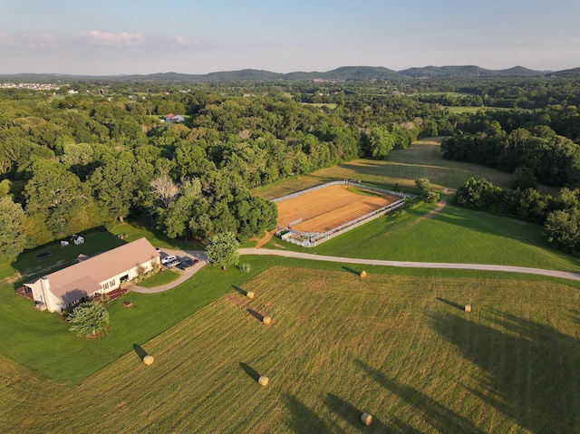 4383 N Chapel Rd, Franklin, TN 37067 - photo 2