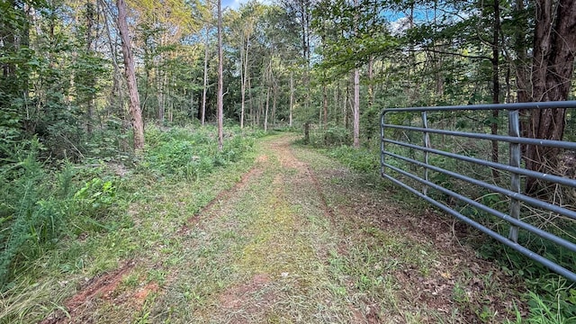 4383 N Chapel Rd, Franklin, TN 37067 - photo 38
