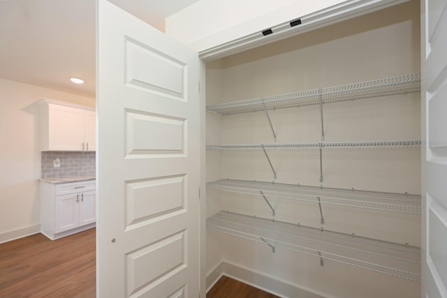 1142 Snow Ave, Madison, TN 37115 - view of pantry