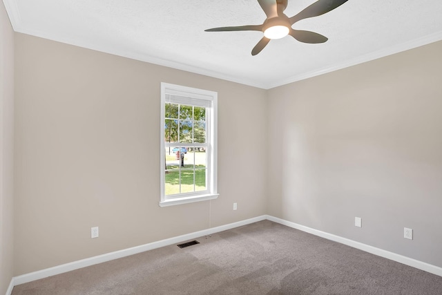 282 Hunt Creek Rd, Manchester, TN 37355 - photo 17
