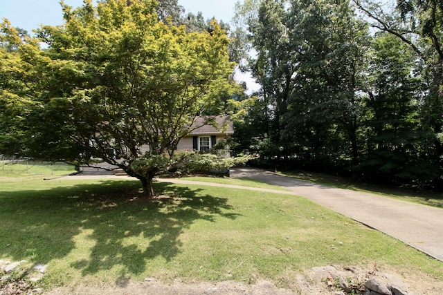 2153 Blakemore Dr, Clarksville, TN 37040 - photo 6