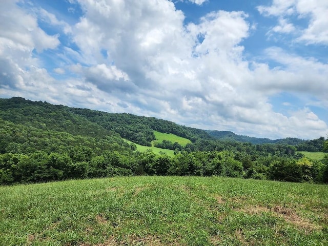 0 Granville Hwy, Granville, TN 38564 - photo 16