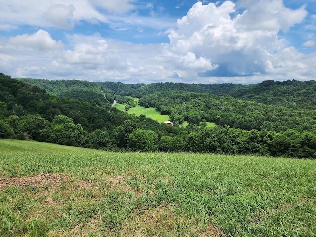 0 Granville Hwy, Granville, TN 38564 - photo 15