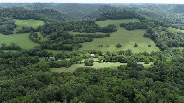 0 Granville Hwy, Granville, TN 38564 - photo 42