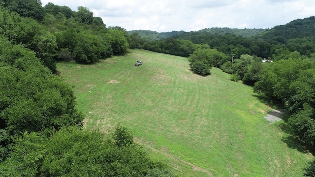 0 Granville Hwy, Granville, TN 38564 - photo 61