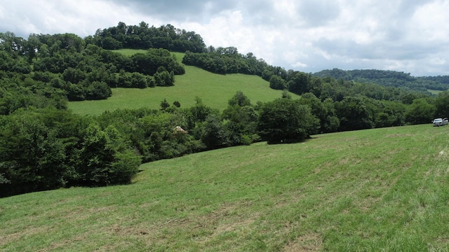 0 Granville Hwy, Granville, TN 38564 - photo 59