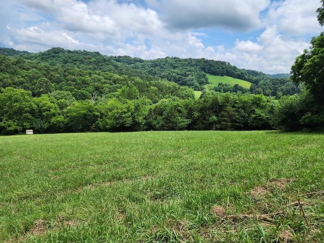 0 Granville Hwy, Granville, TN 38564 - photo 22
