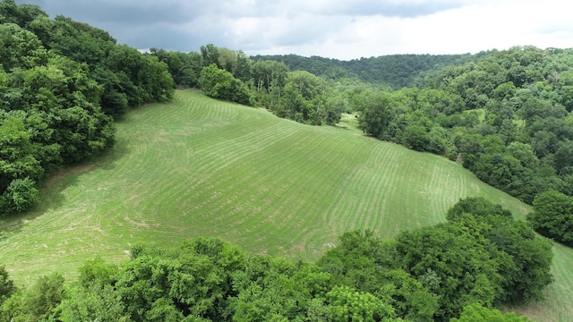 0 Granville Hwy, Granville, TN 38564 - photo 49
