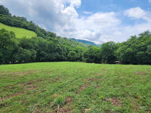0 Granville Hwy, Granville, TN 38564 - photo 3