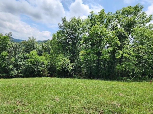 0 Granville Hwy, Granville, TN 38564 - photo 19