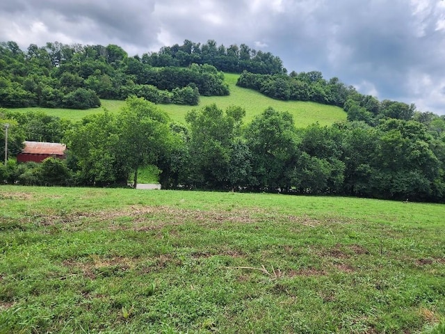 0 Granville Hwy, Granville, TN 38564 - photo 8