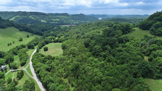 0 Granville Hwy, Granville, TN 38564 - photo 33