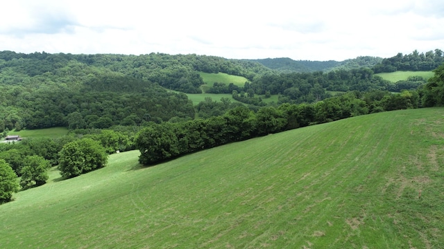 0 Granville Hwy, Granville, TN 38564 - photo 53