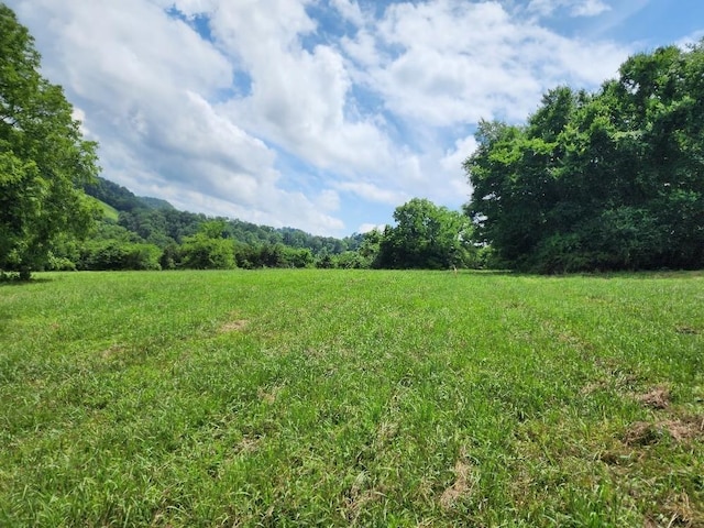 0 Granville Hwy, Granville, TN 38564 - photo 14