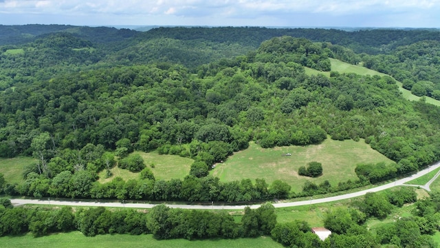0 Granville Hwy, Granville, TN 38564 - photo 41