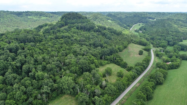 0 Granville Hwy, Granville, TN 38564 - photo 45