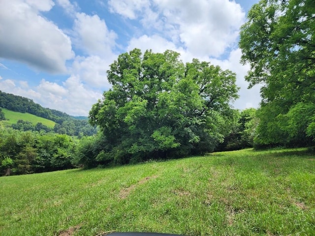 0 Granville Hwy, Granville, TN 38564 - photo 21