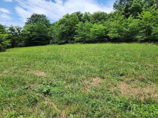 0 Granville Hwy, Granville, TN 38564 - photo 11