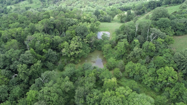 0 Granville Hwy, Granville, TN 38564 - photo 43