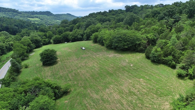 0 Granville Hwy, Granville, TN 38564 - photo 31