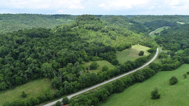 0 Granville Hwy, Granville, TN 38564 - photo 48