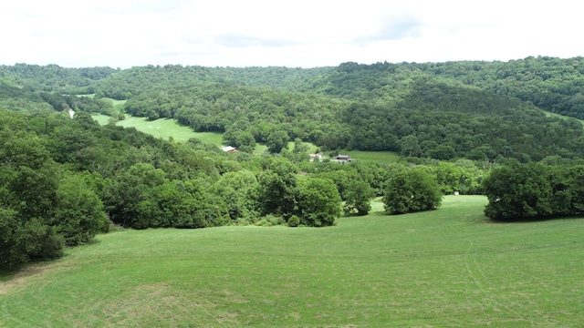 0 Granville Hwy, Granville, TN 38564 - photo 54