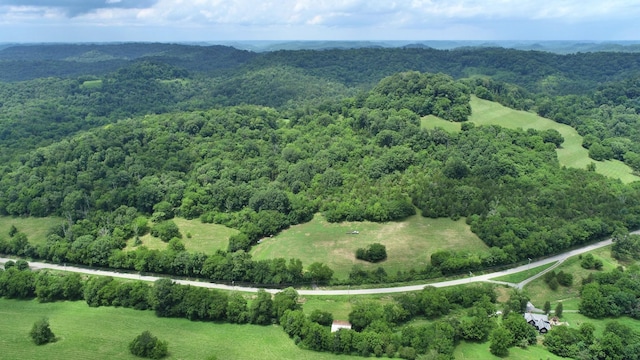 0 Granville Hwy, Granville, TN 38564 - photo 40