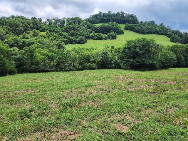 0 Granville Hwy, Granville, TN 38564 - photo 6