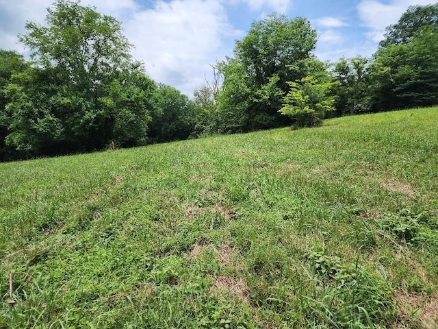 0 Granville Hwy, Granville, TN 38564 - photo 10