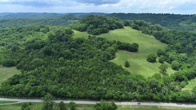 0 Granville Hwy, Granville, TN 38564 - photo 39