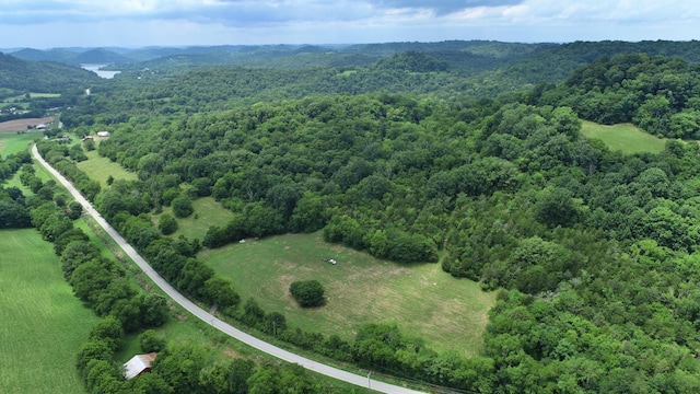 0 Granville Hwy, Granville, TN 38564 - photo 38