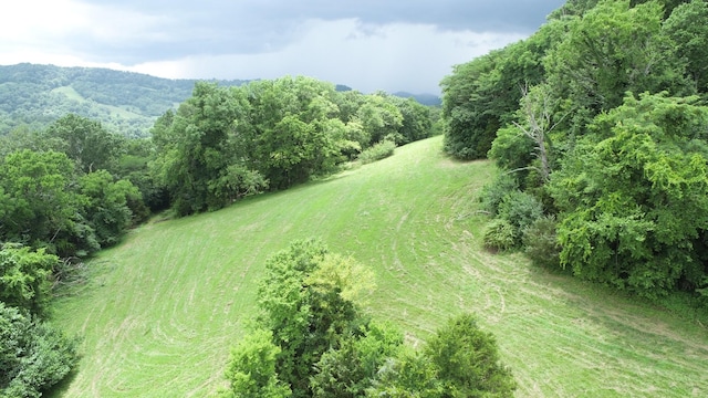 0 Granville Hwy, Granville, TN 38564 - photo 50