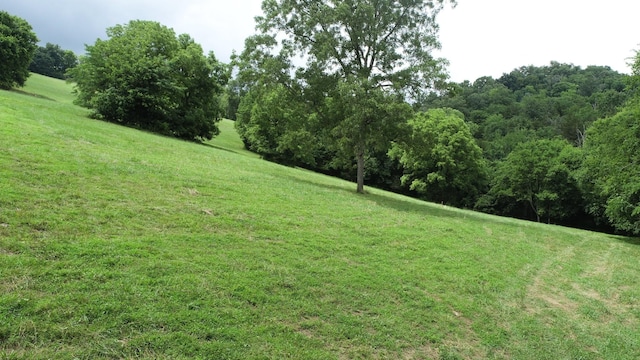 0 Granville Hwy, Granville, TN 38564 - photo 55