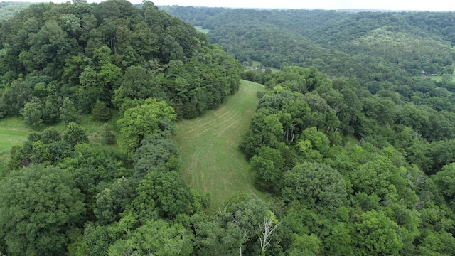 0 Granville Hwy, Granville, TN 38564 - photo 44