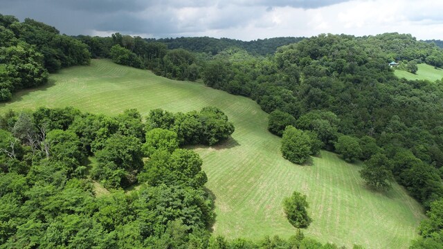 0 Granville Hwy, Granville, TN 38564 - photo 46