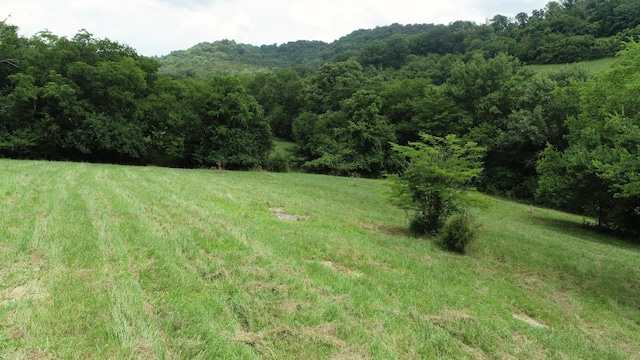 0 Granville Hwy, Granville, TN 38564 - photo 60