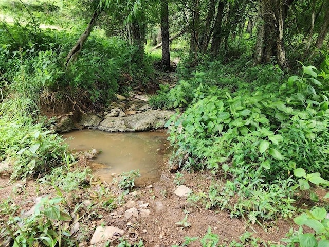 0 Granville Hwy, Granville, TN 38564 - photo 9