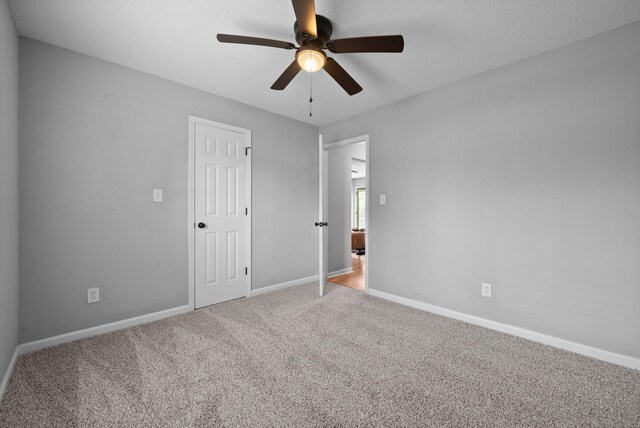 431 Pacific Ave, Oak Grove, KY 42262 - photo 21
