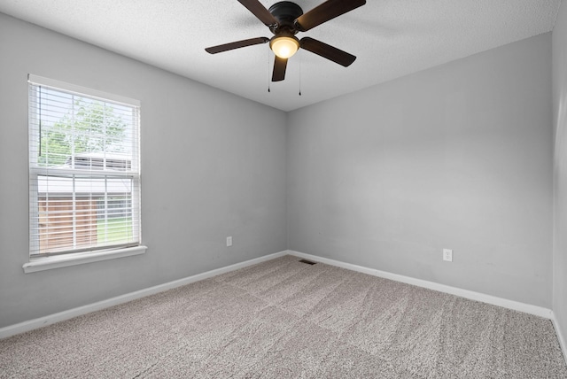 431 Pacific Ave, Oak Grove, KY 42262 - photo 23