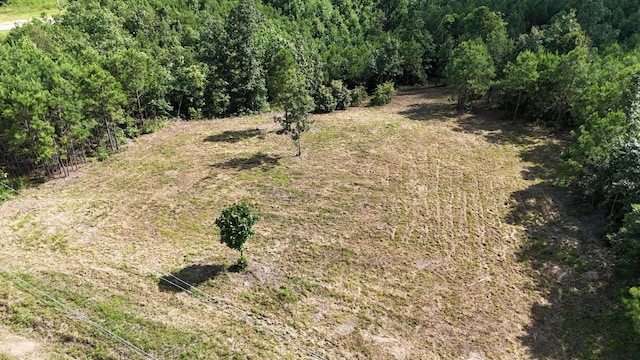 7696 Old Hohenwald Rd, Linden, TN 37096