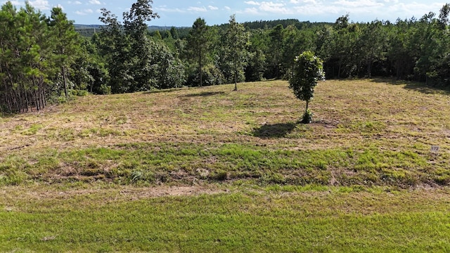 7696 Old Hohenwald Rd, Linden, TN 37096
