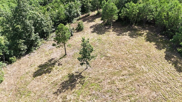 7696 Old Hohenwald Rd, Linden, TN 37096