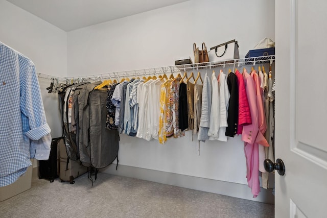 923 Hornsby Dr, Franklin, TN 37064 - walk in closet with carpet