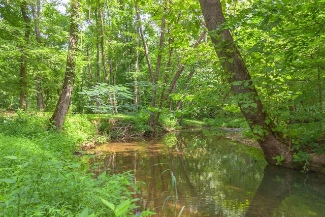 305 Allens Creek Rd, Hohenwald, TN 38462