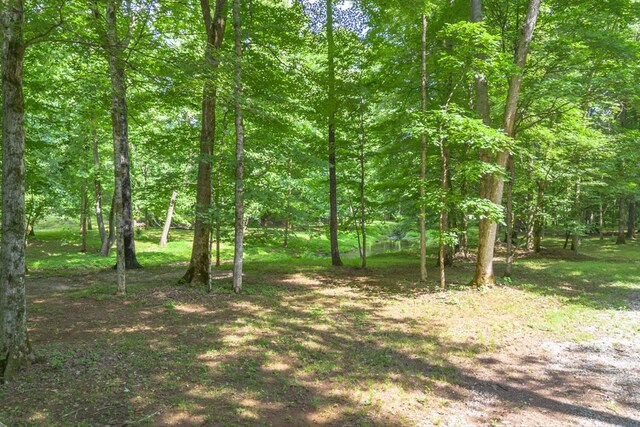305 Allens Creek Rd, Hohenwald, TN 38462