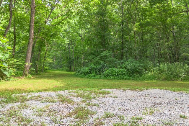 305 Allens Creek Rd, Hohenwald, TN 38462
