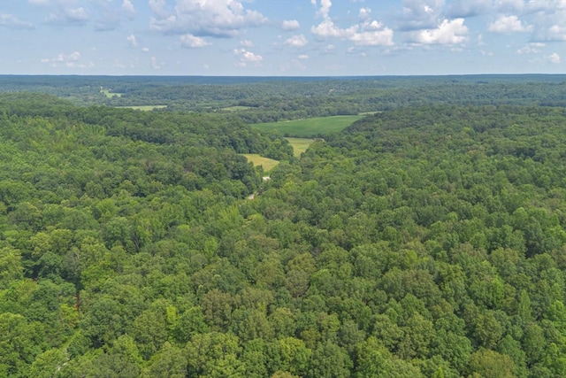 305 Allens Creek Rd, Hohenwald, TN 38462
