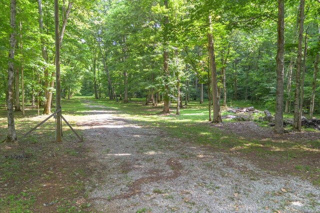 305 Allens Creek Rd, Hohenwald, TN 38462