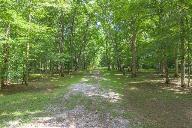 305 Allens Creek Rd, Hohenwald, TN 38462
